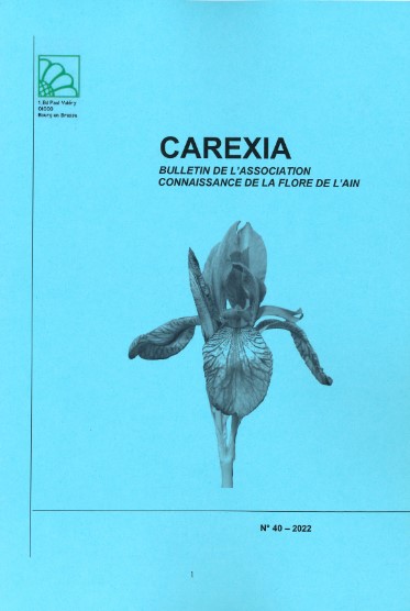 carexia 40
