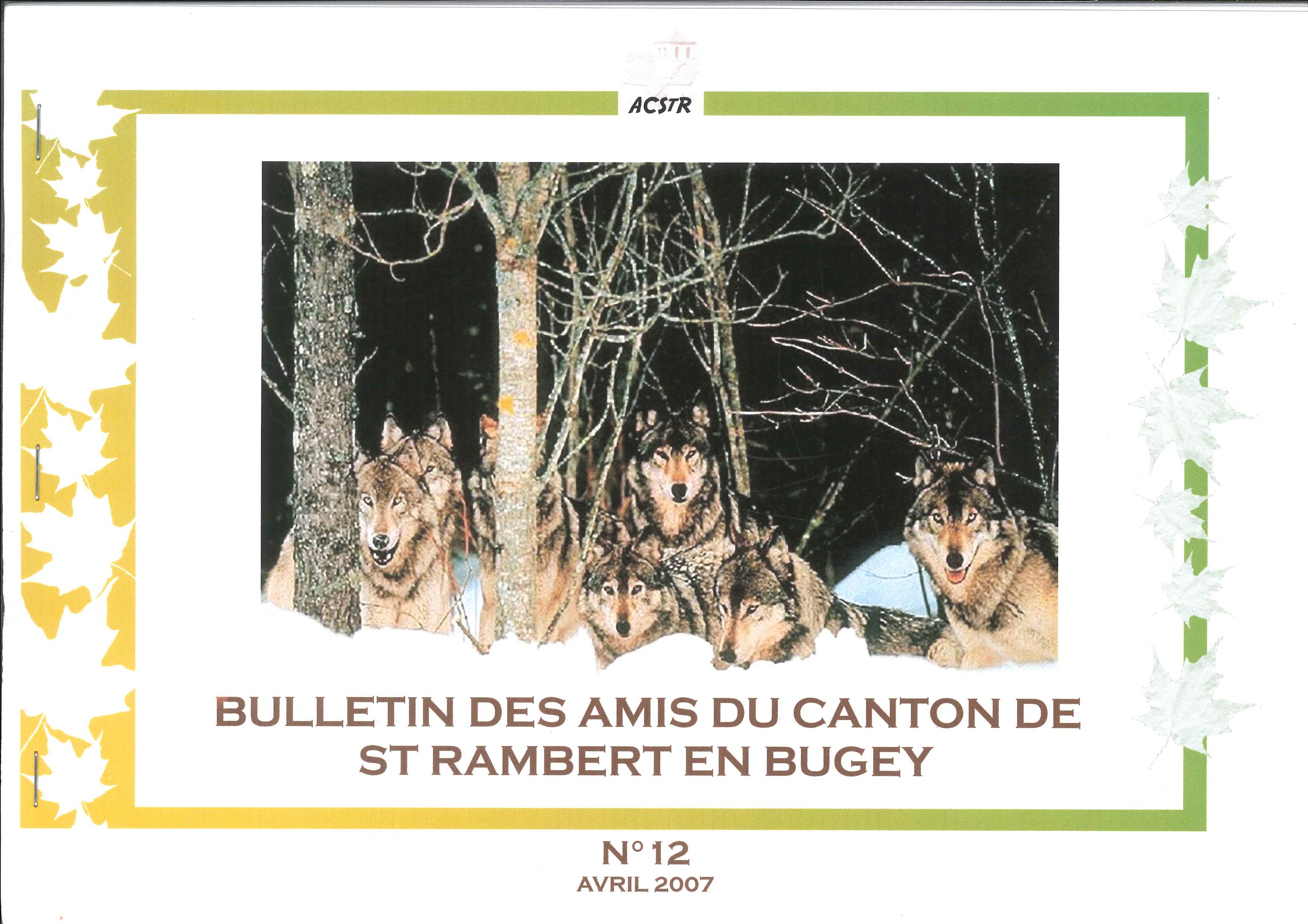 Bulletin des amis du canton de Saint Rambert en Bugey n12 