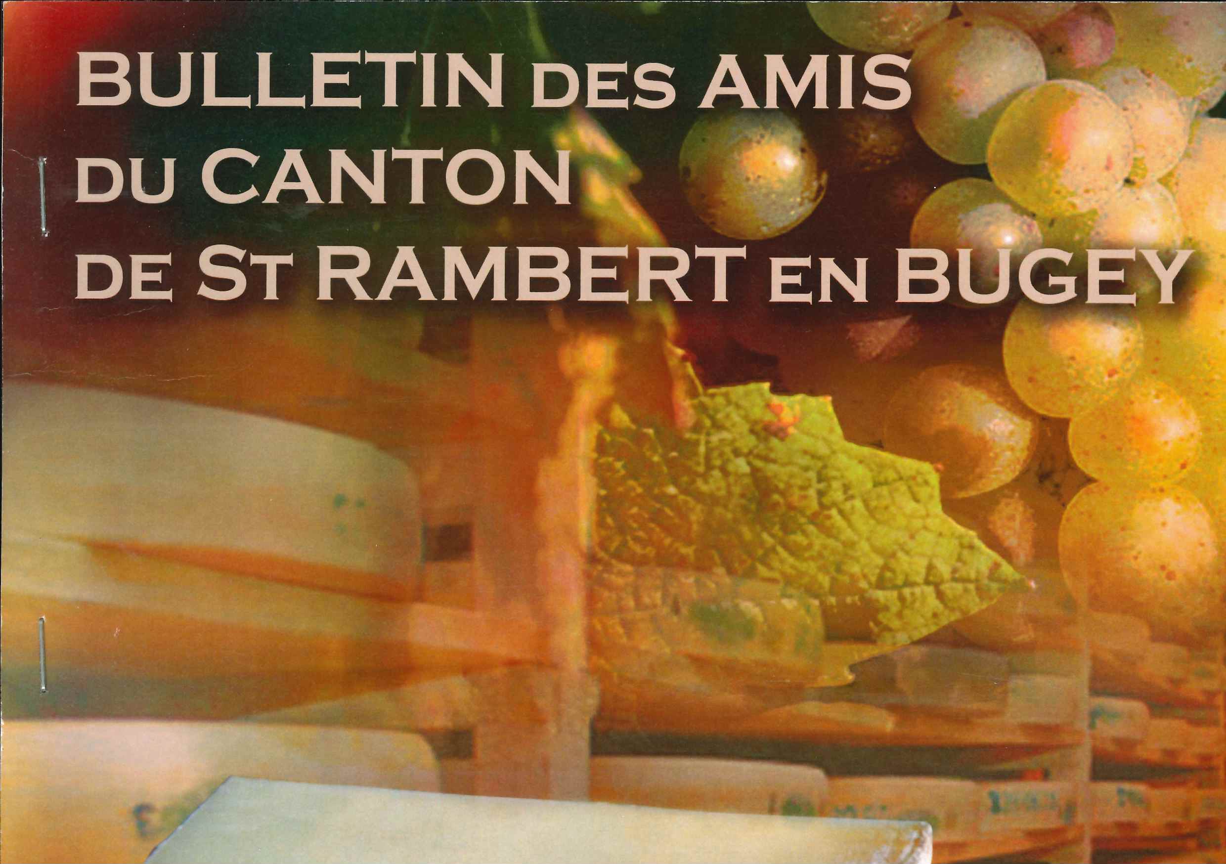 Bulletin des amis du canton de Saint Rambert en Bugey n25