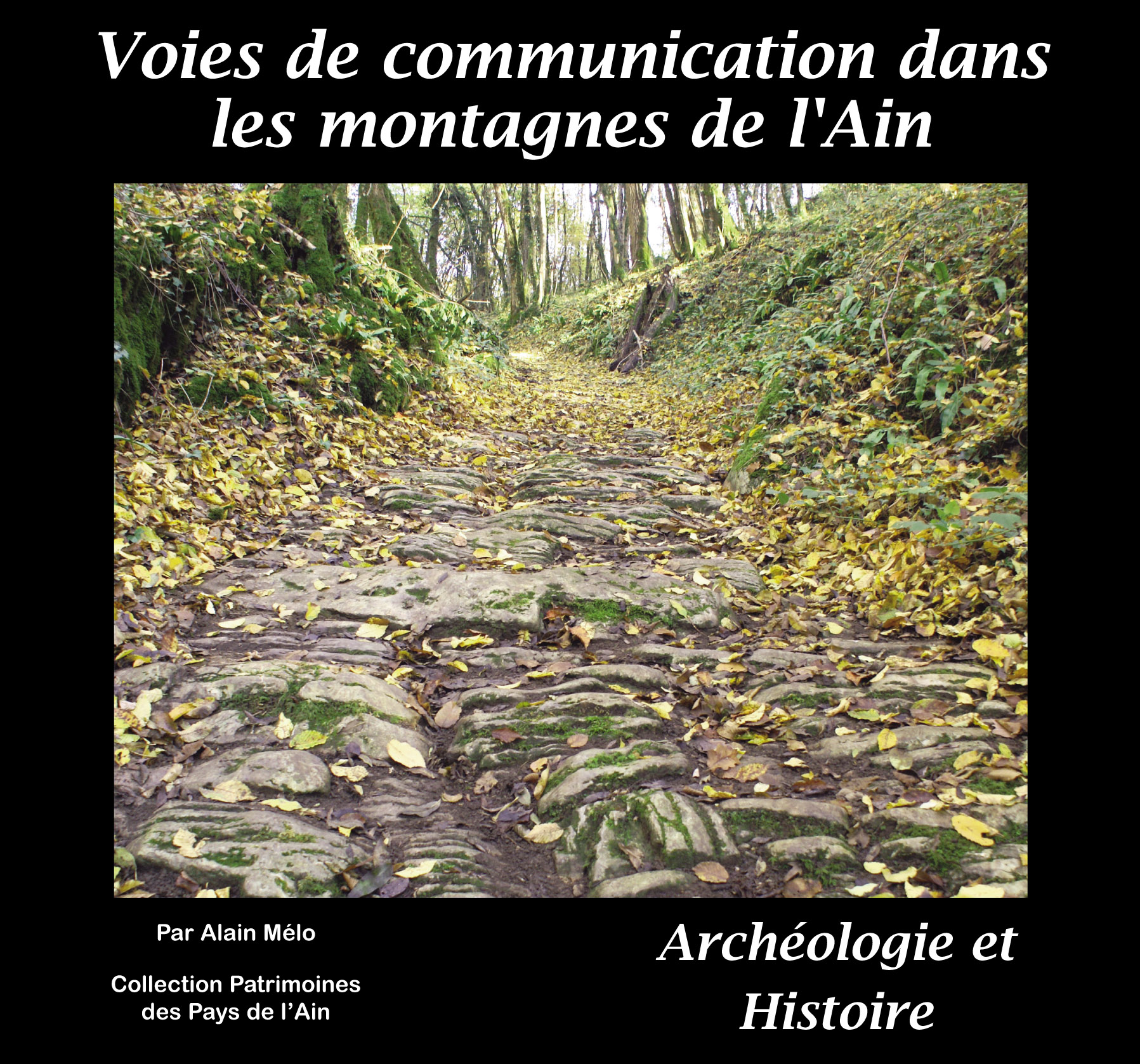 N°14 – Voies de communication dans les montagnes de l&rsquo;Ain