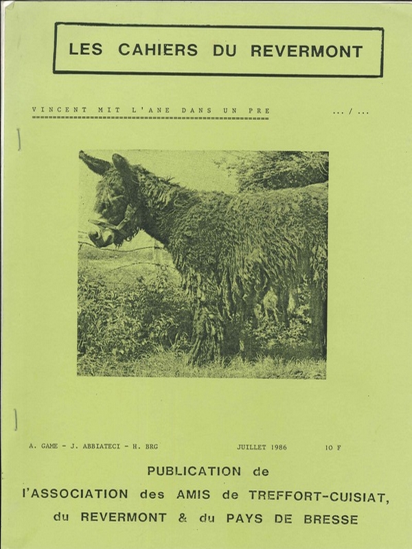 Vincent mit l&rsquo;âne dans un pré…