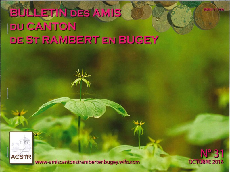 Bulletin des amis du canton de Saint-Rambert-en-Bugey n°31