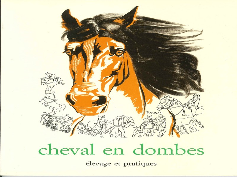 Cheval en Dombes : élevages et pratiques d&rsquo;hier et d&rsquo;aujourd&rsquo;hui