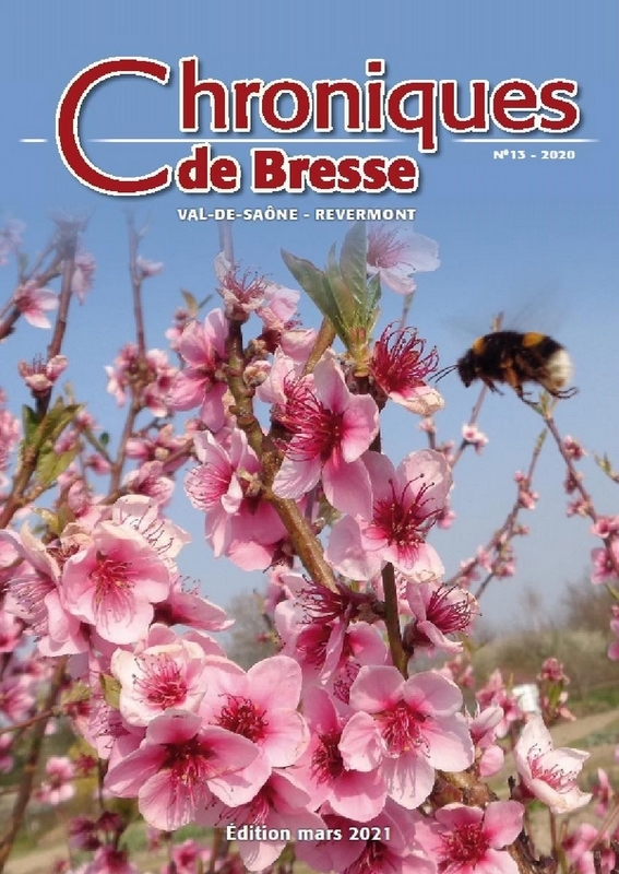 Chroniques de Bresse n°13