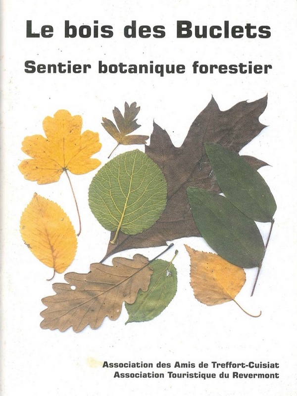Le Bois des Buclets – sentier botanique forestier (à Cuisiat)